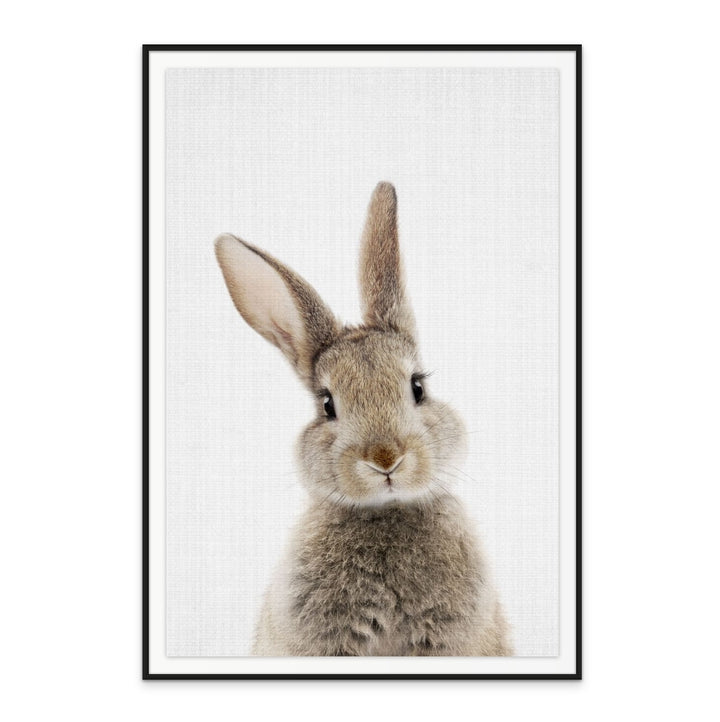 Peekaboo Bunny Art Print