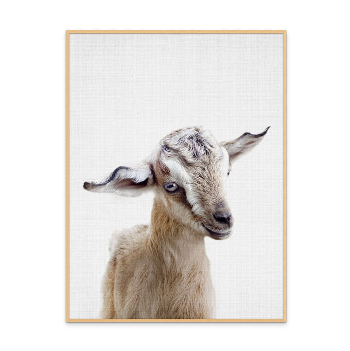 Peekaboo Baby Goat Art Print