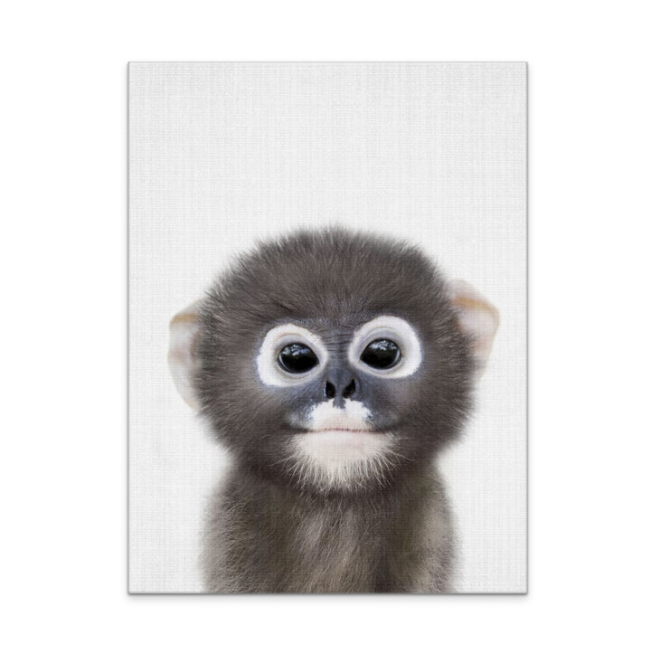 Peekaboo Baby Monkey Art Print