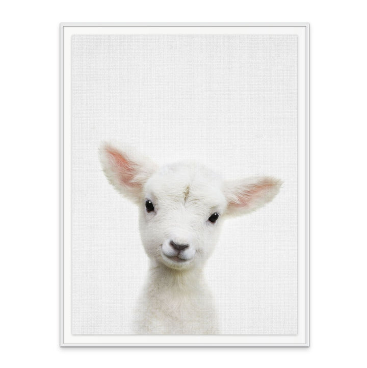 Peekaboo Baby Sheep Art Print