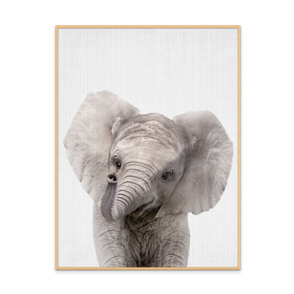 Peekaboo Baby Elephant Art Print