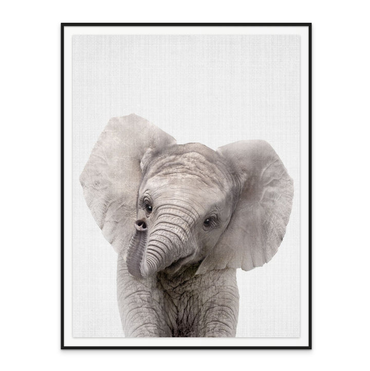 Peekaboo Baby Elephant Art Print