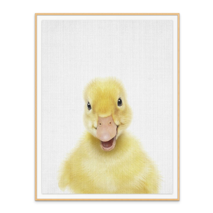 Peekaboo Baby Duck Art Print