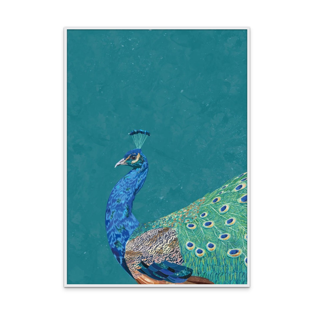 Turquoise peacock Art Print