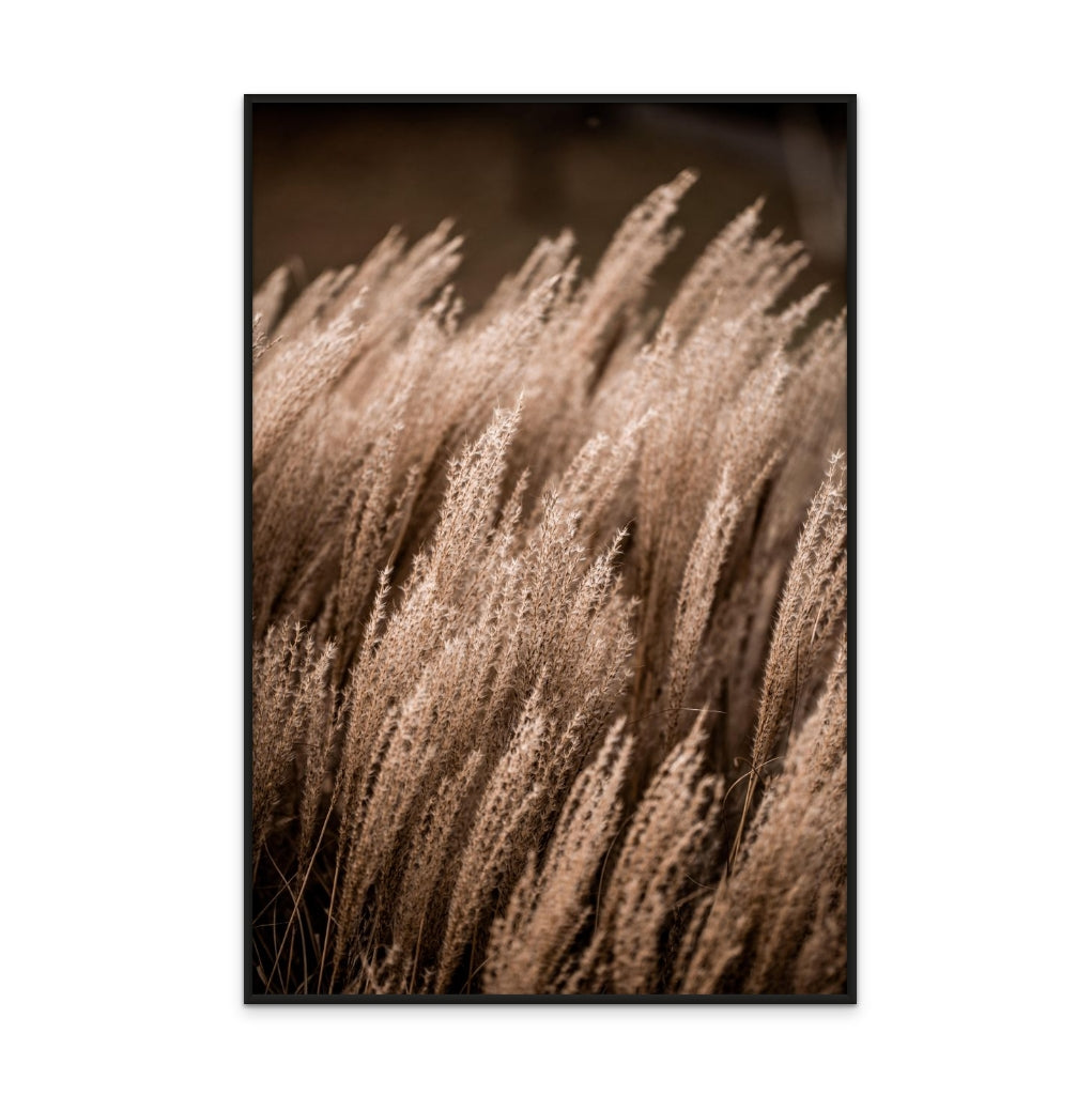 Grass 16 Art Print