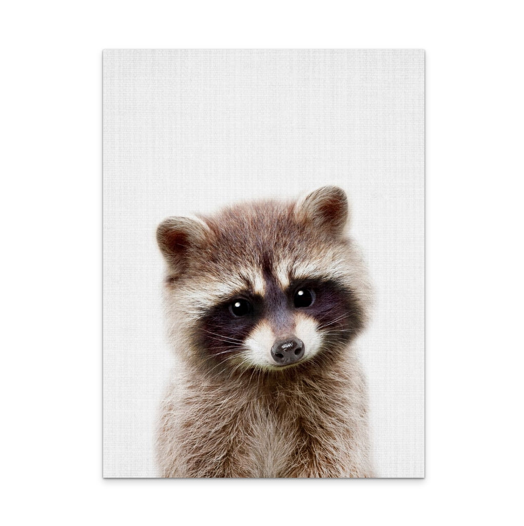 Peekaboo Raccoon Art Print