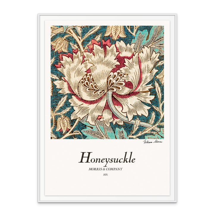 Honeysuckle Art Print