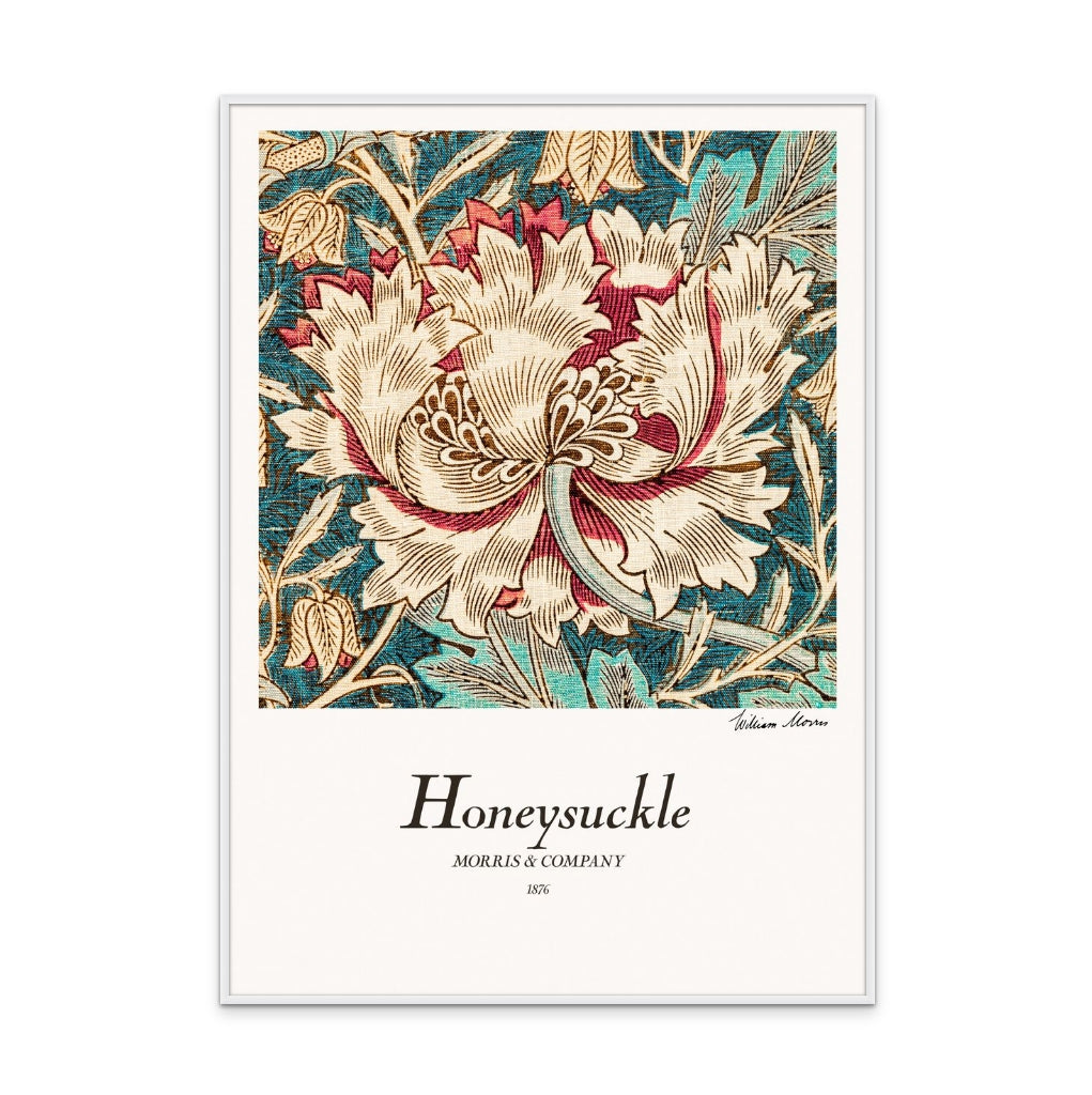 Honeysuckle Art Print