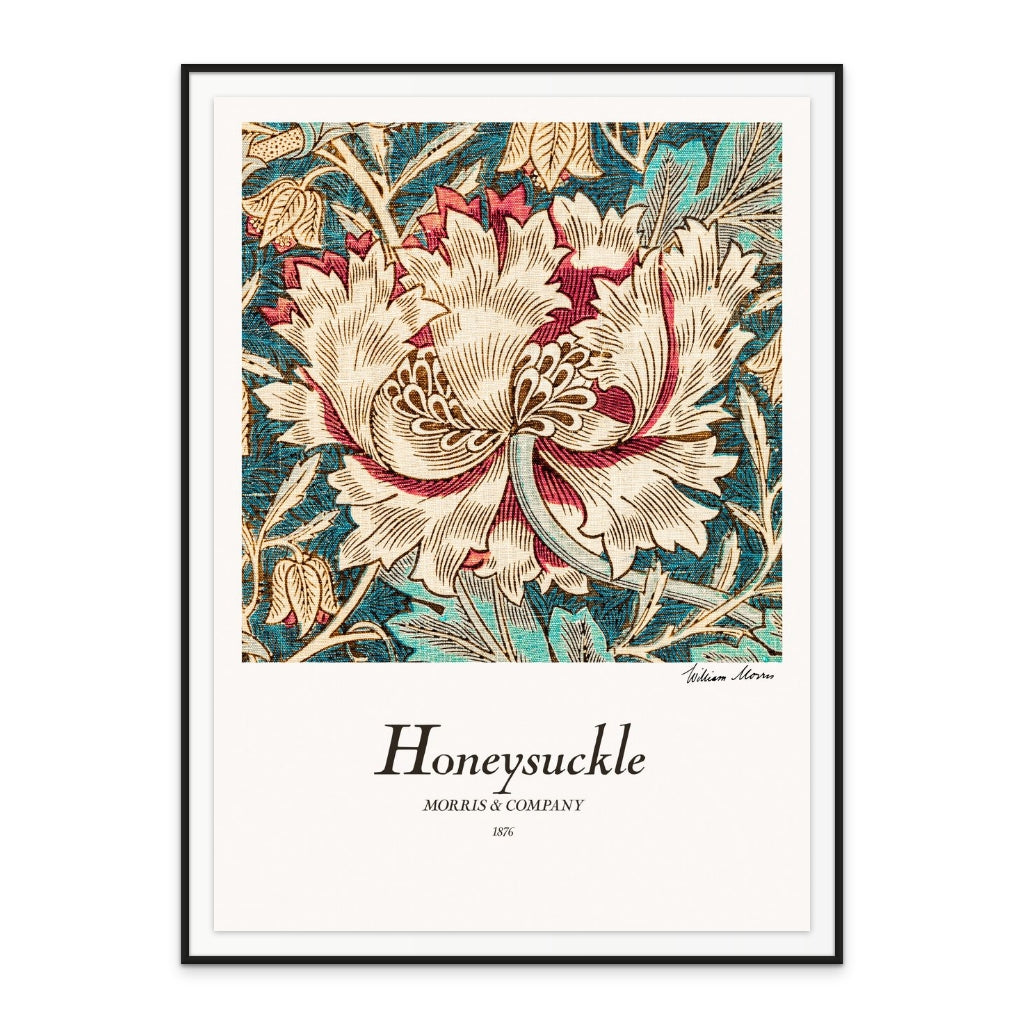 Honeysuckle Art Print