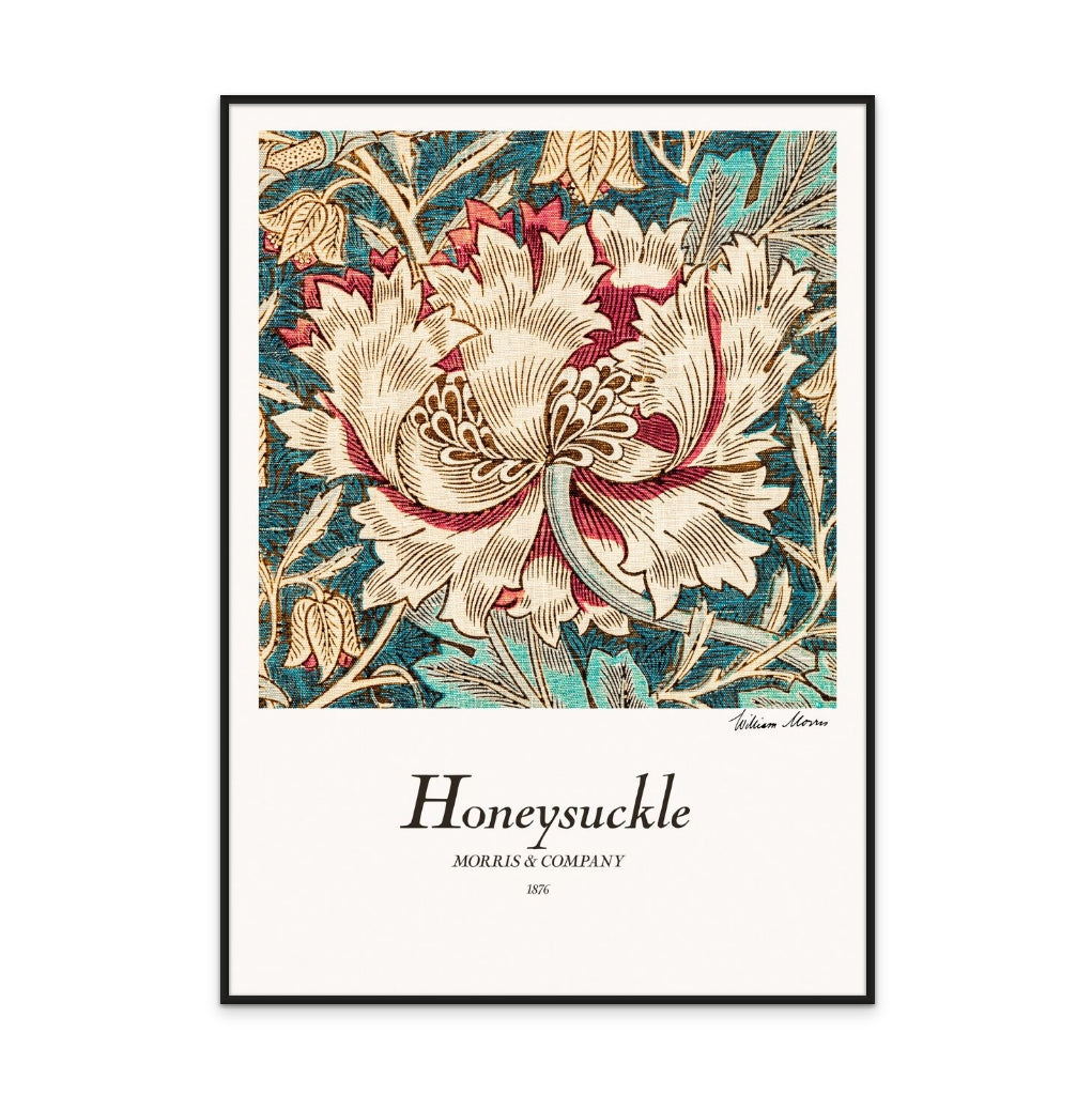 Honeysuckle Art Print