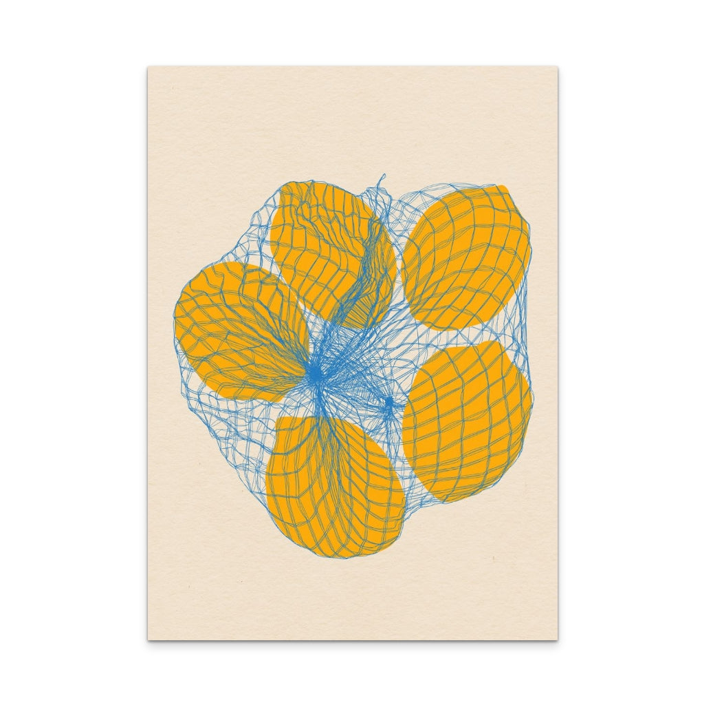 Five Lemons In a Net Bag Art Print