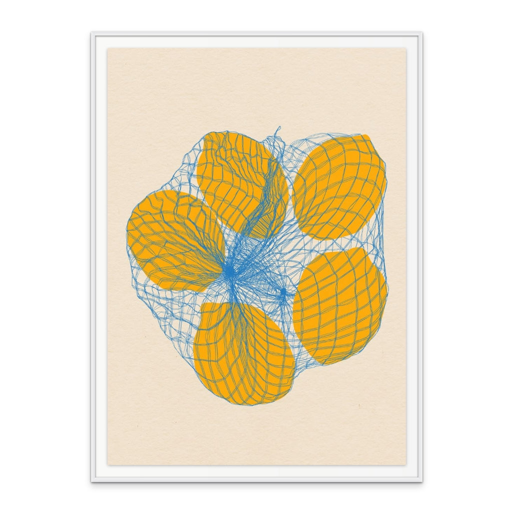 Five Lemons In a Net Bag Art Print