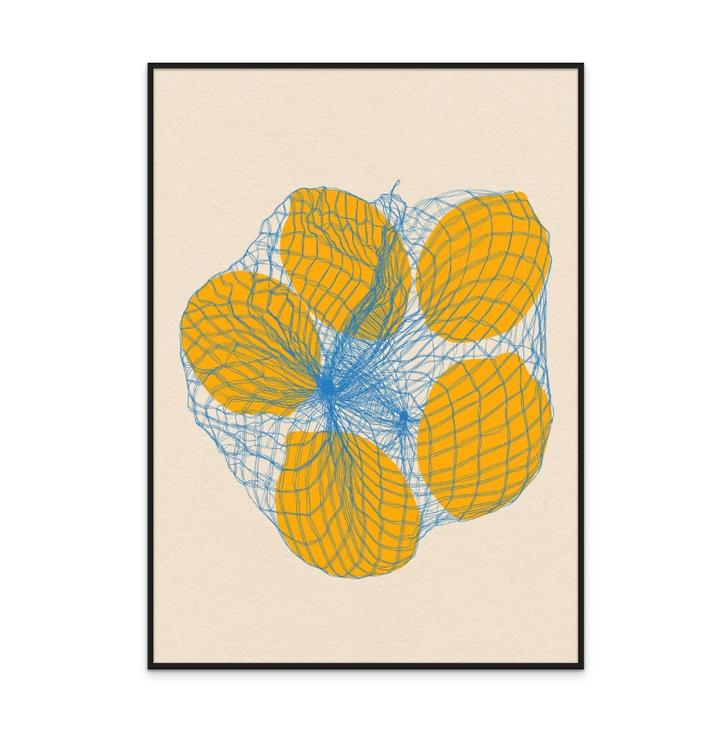 Five Lemons In a Net Bag Art Print