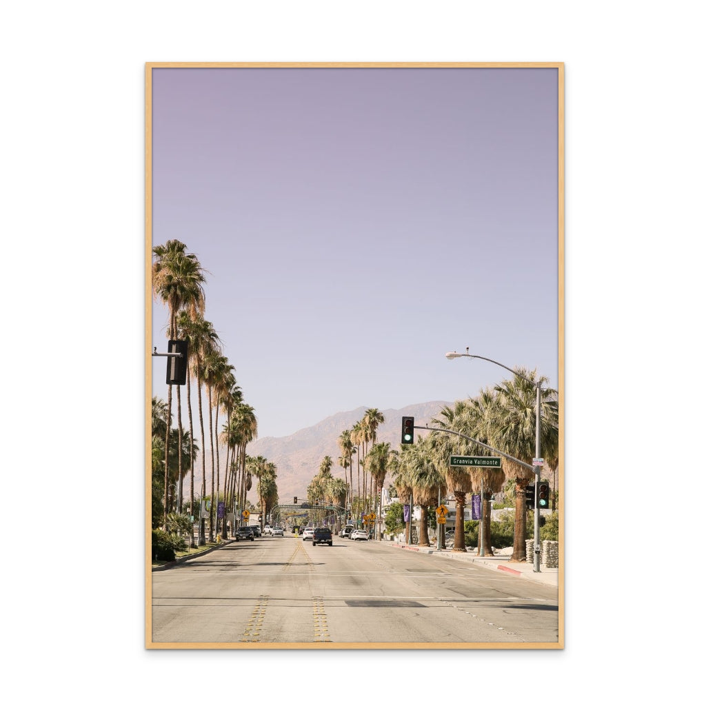 Palm Spring Art Print