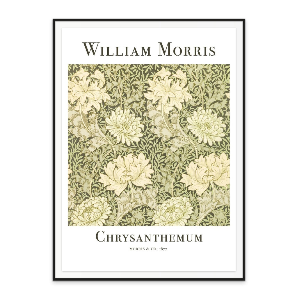 Chrysanthemum Art Print