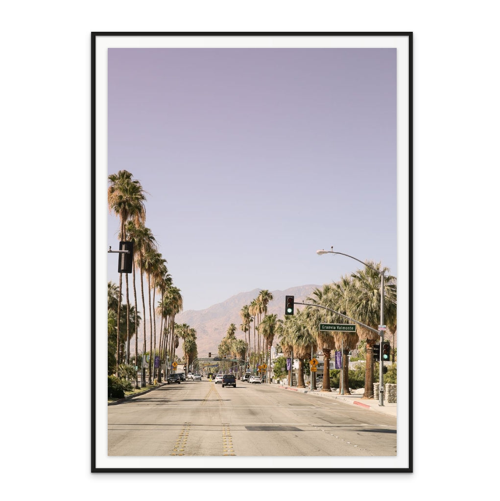 Palm Spring Art Print