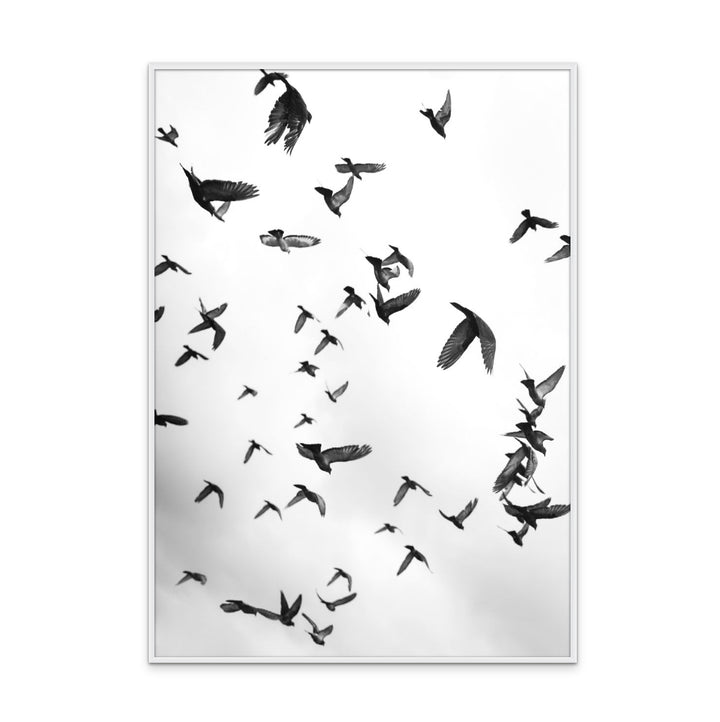 Flight a Freedom No5 Art Print