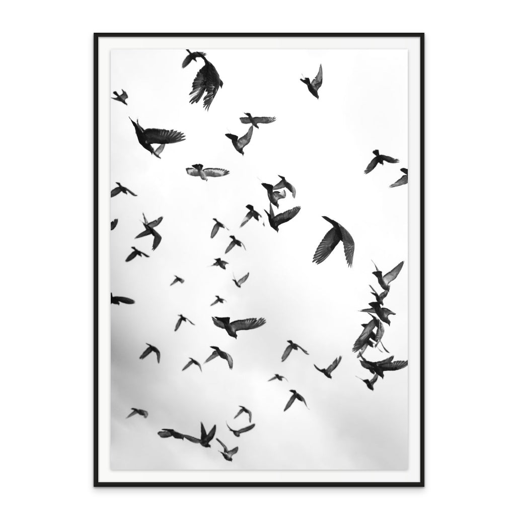 Flight a Freedom No5 Art Print