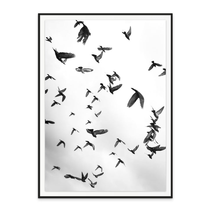 Flight to Freedom No5 Art Print