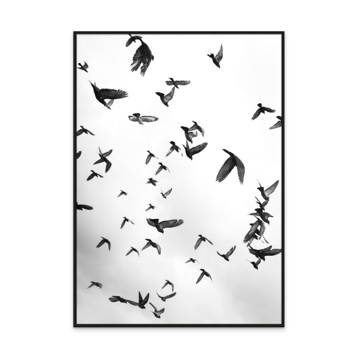 Flight to Freedom No5 Art Print