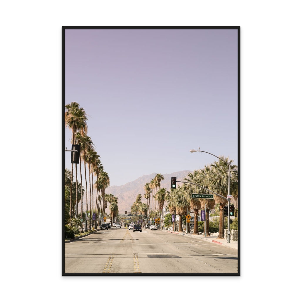 Palm Spring Art Print