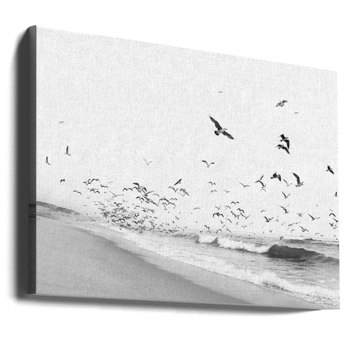 Seascape BW Art Print