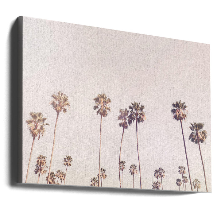 Sunny Cali Palm Trees Art Print