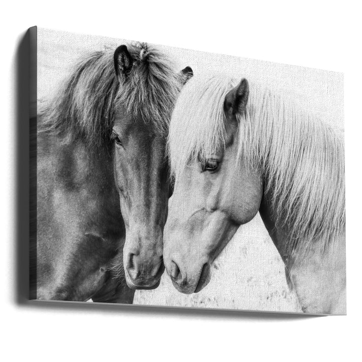 Horse Love Art Print