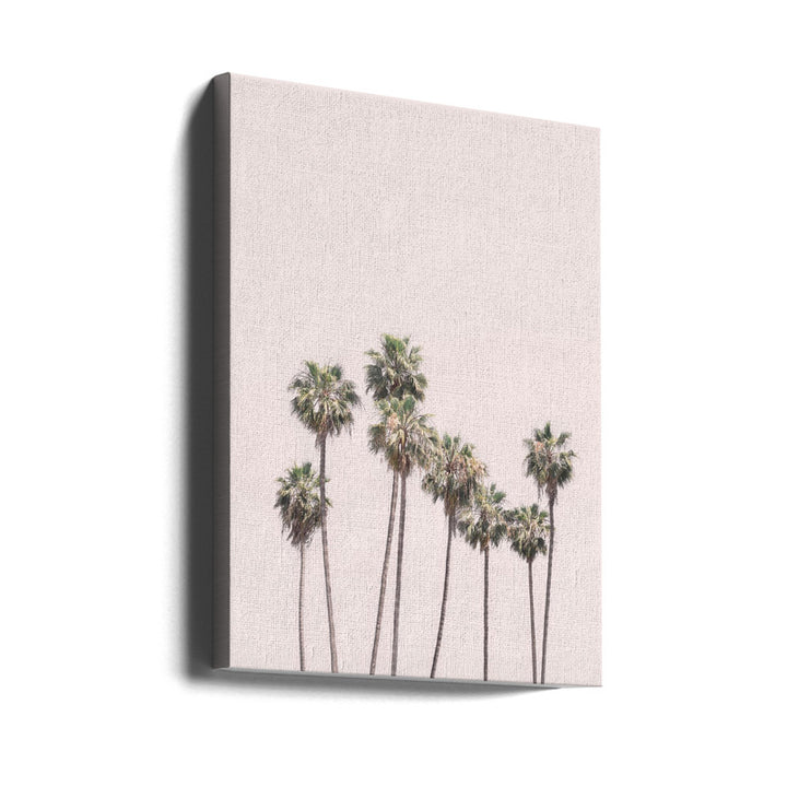 Blush Palms Art Print