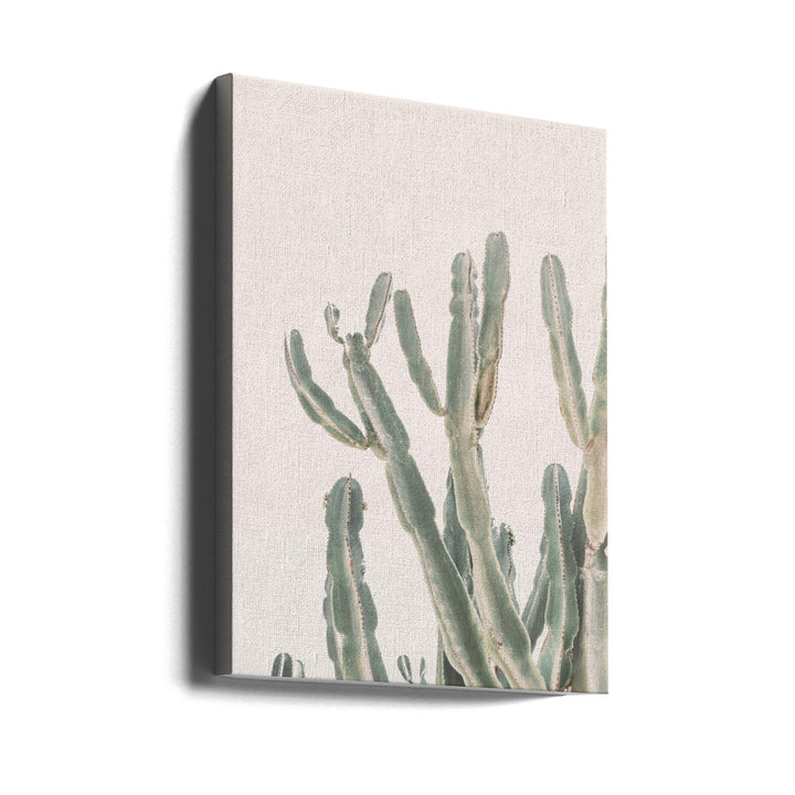 Sunrise Cactus Art Print