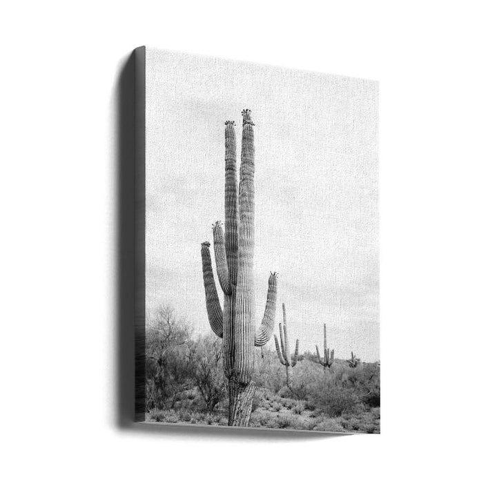 Saguaro BaW Art Print