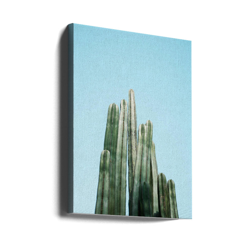 Cuadro "Cacti"