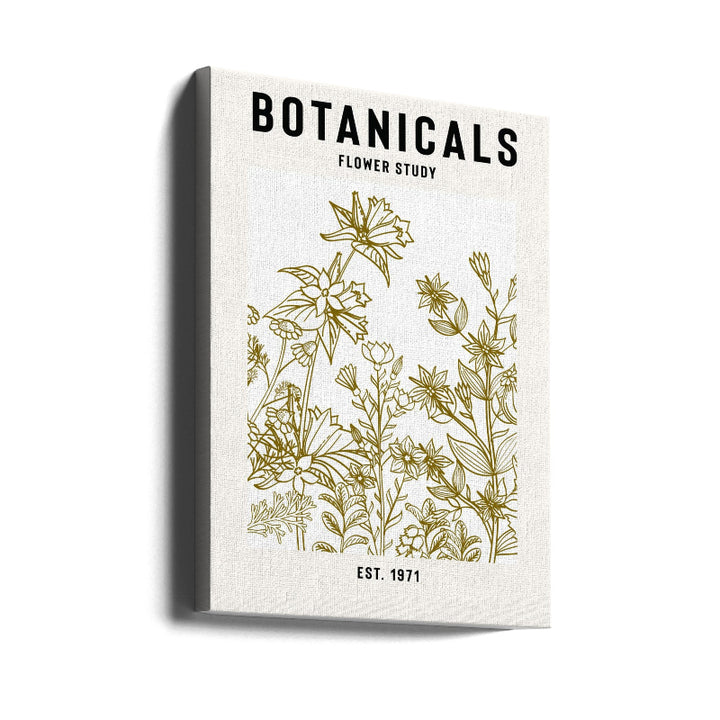 Botanicals Flower Study II Art Print