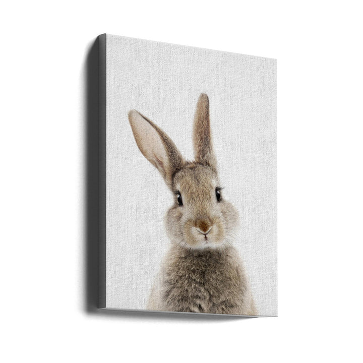 Peekaboo Bunny Art Print