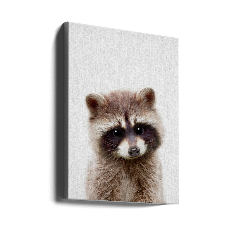 Peekaboo Raccoon Art Print