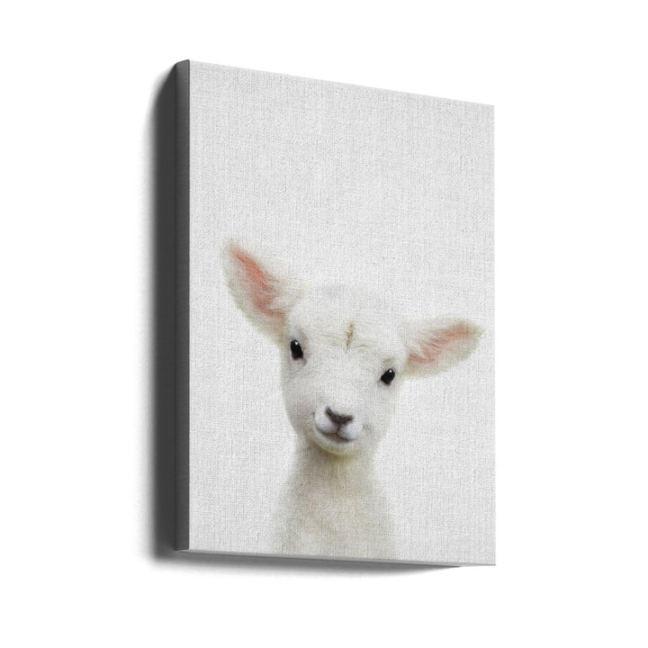 Peekaboo Baby Sheep Art Print