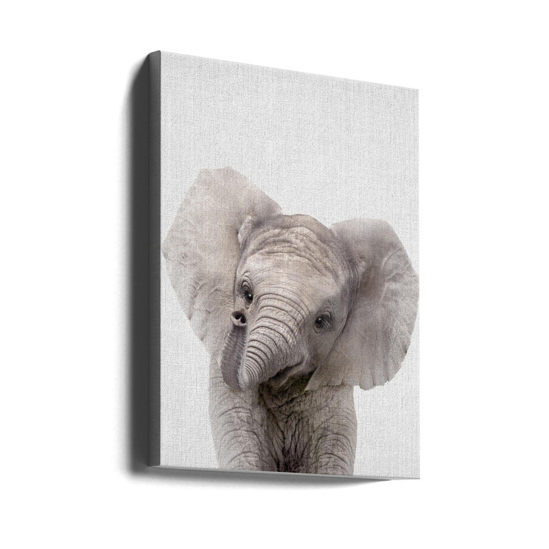 Peekaboo Baby Elephant Art Print