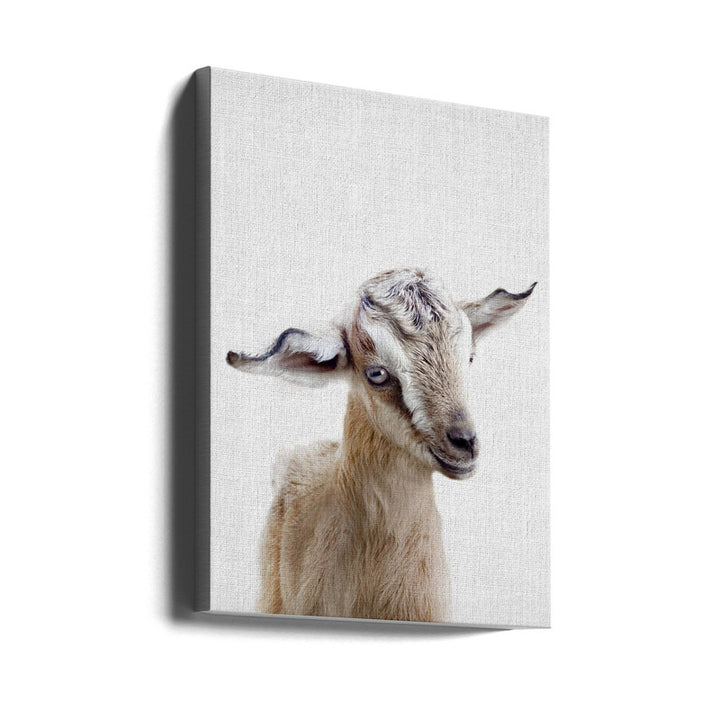 Peekaboo Baby Goat Art Print