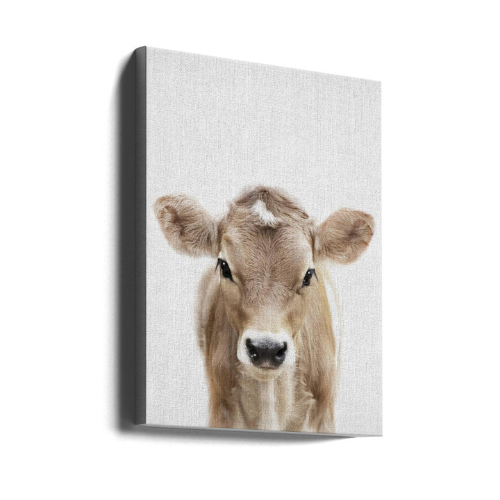 Peekaboo Baby Cow Art Print