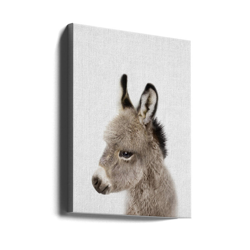 Peekaboo Baby Donkey Art Print