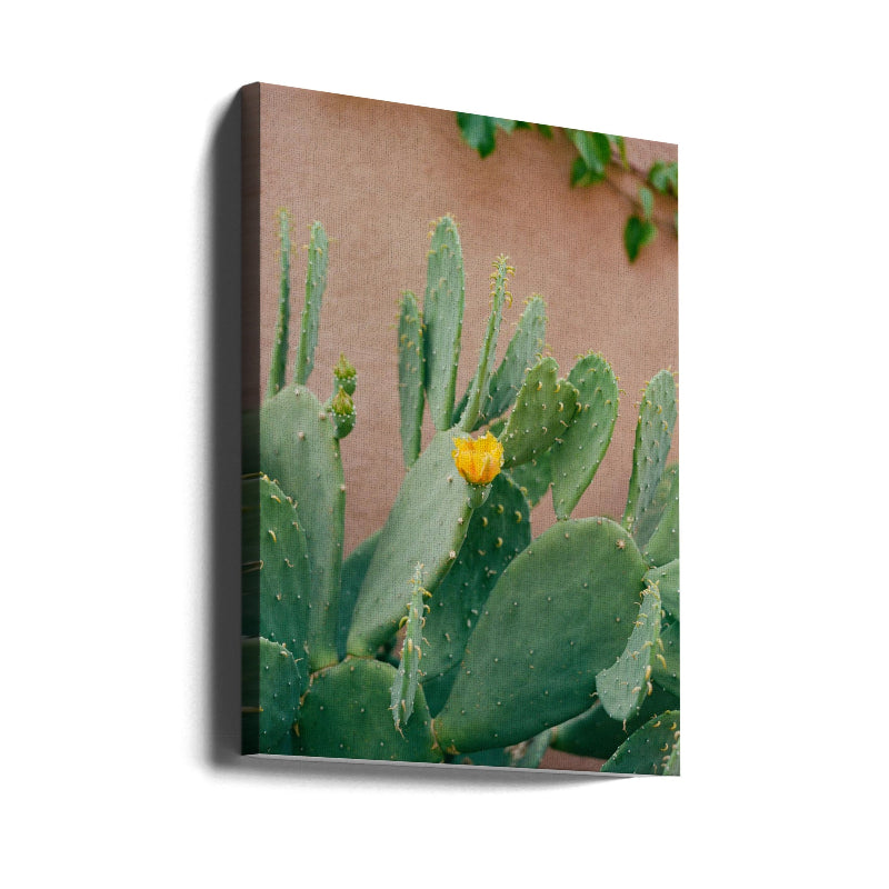 Cactus Art Print