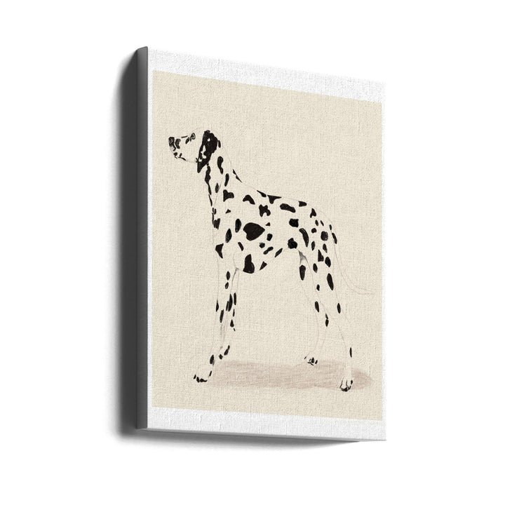 Pandc Dalmation Art Print