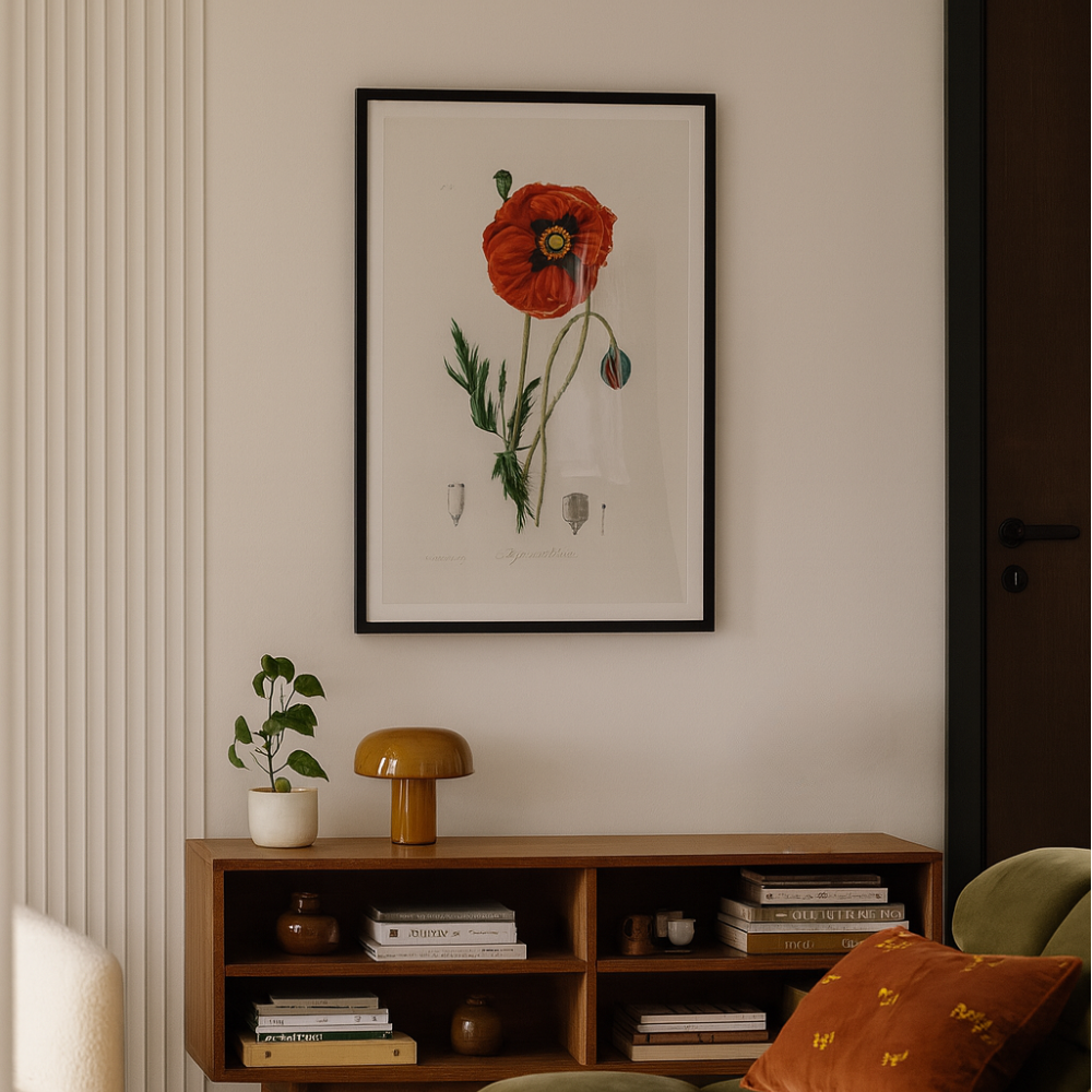 Cuadro "Common Poppy (papaver Rhoeas) Medical Botany"