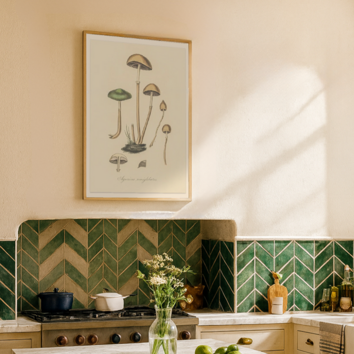 Cuadro "Agaricus Semiglobatus"