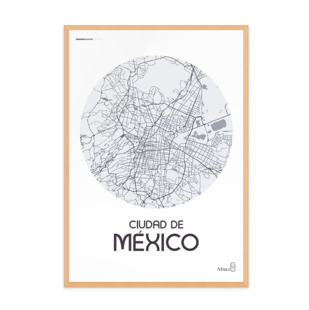 CDMX Art Print