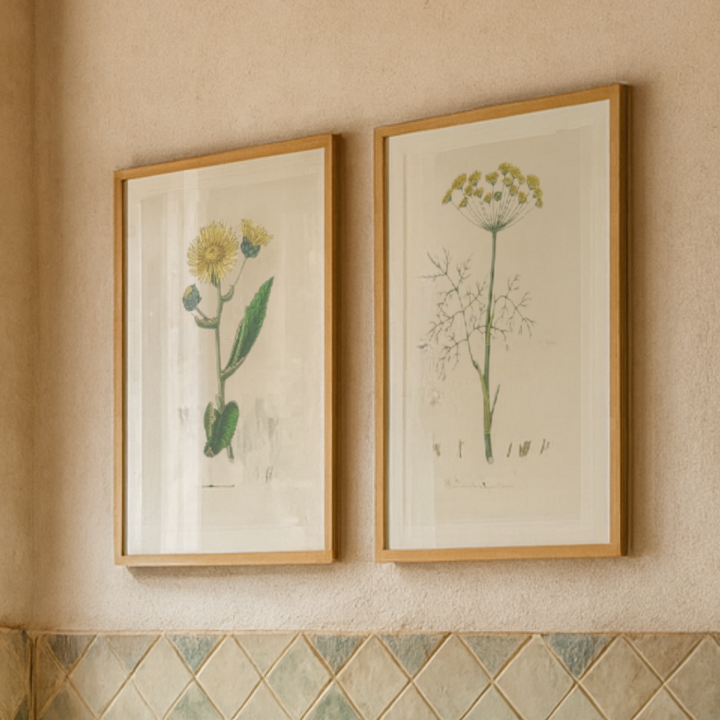 Set de cuadros "Arte Herbarium II"