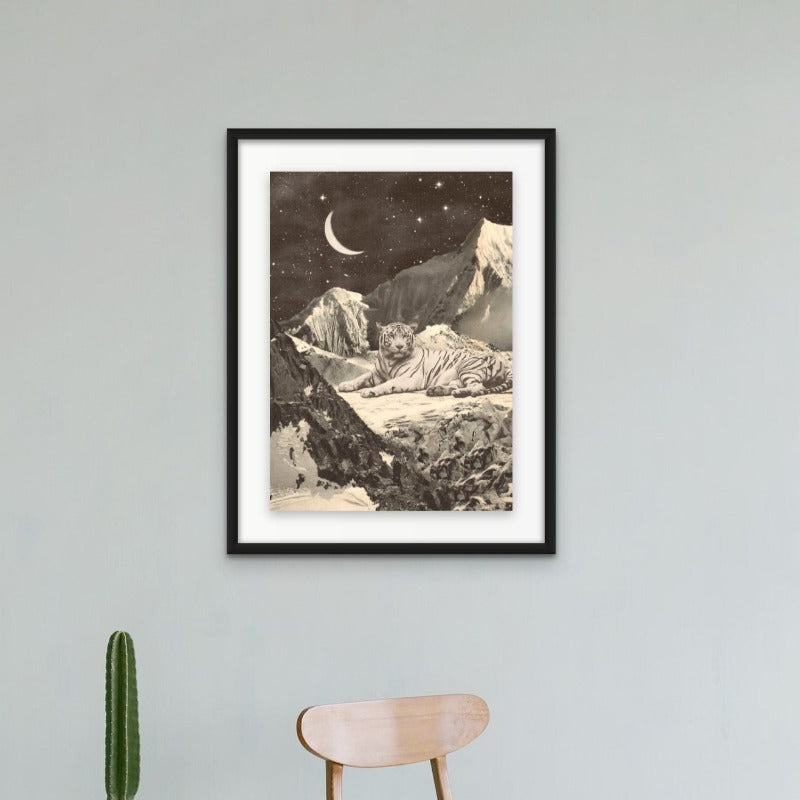 Giant White Tiger Art Print