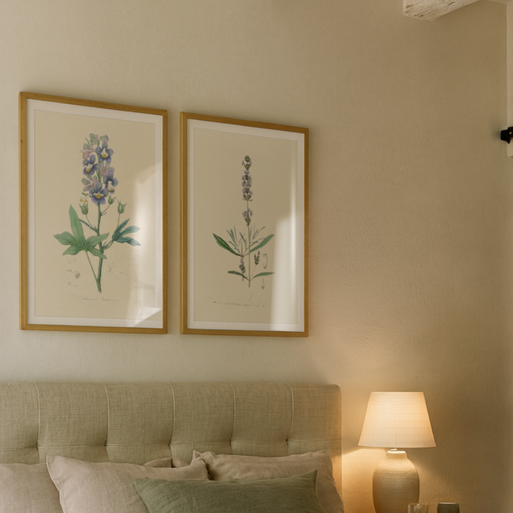 Cuadro "Delphinum Staphisagria Medical Botany"