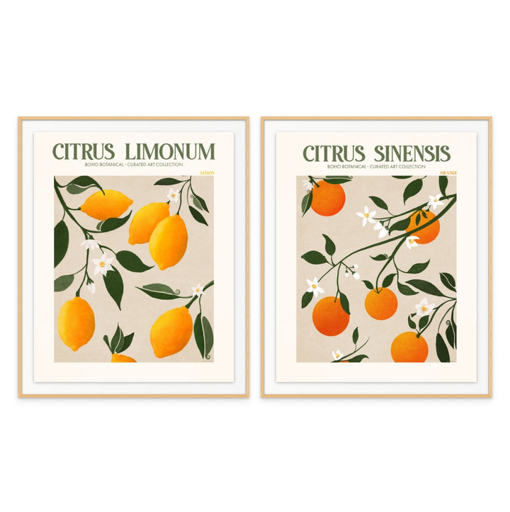 Set "Citrus" Art Prints