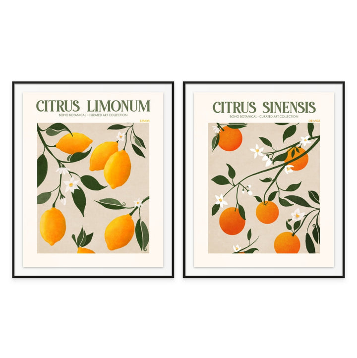 Set "Citrus" Art Prints